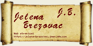Jelena Brezovac vizit kartica